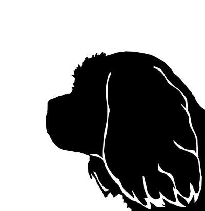 400x413 Cavalier King Silhouette Extra Large Reusable Cotton Canvas Tote