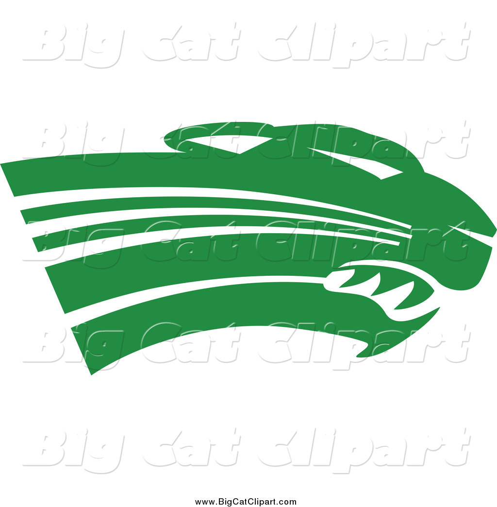 1024x1044 Royalty Free Puma Stock Big Cat Designs