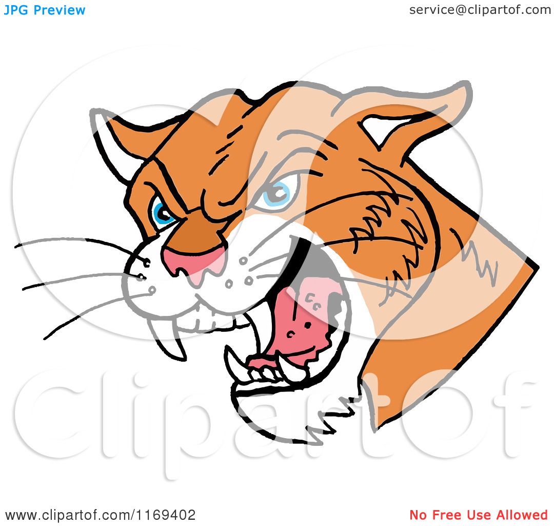 1080x1024 Cartoon Of A Hissing Cougar Head