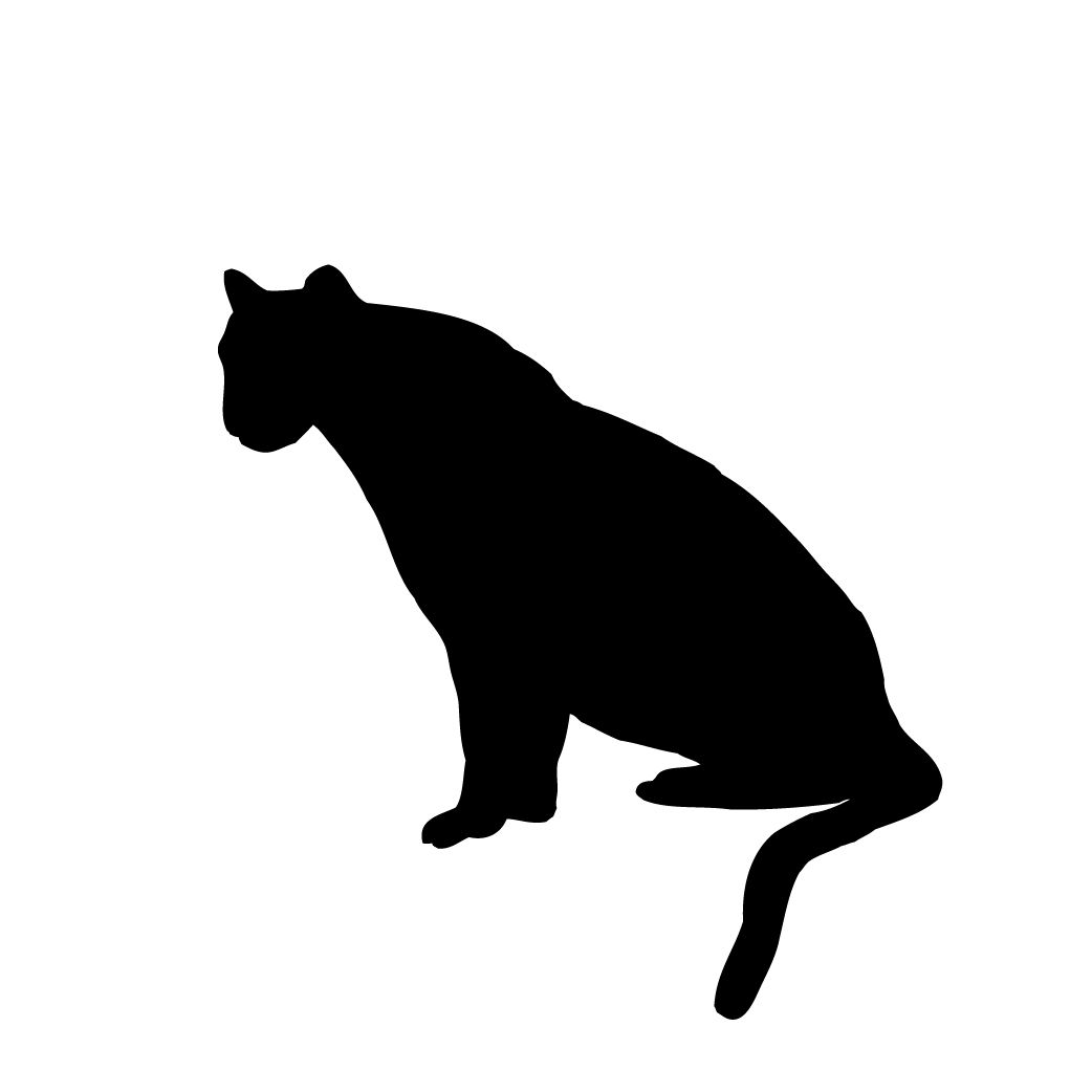 1042x1042 Cougar Silhouette Vbs 2016 Vbs 2016 And Silhouettes