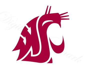 340x270 Cougars Etsy