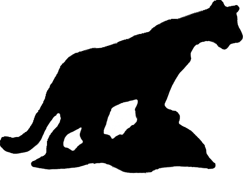 776x557 Custom Profiles Colorado Dallas