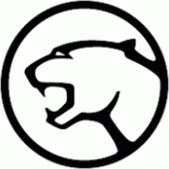 190x190 Cougar Animal Clip Art Videos Video Codes Clipart Clipart Image
