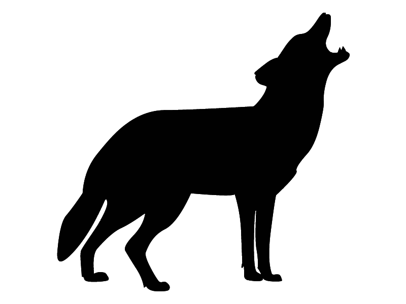 800x600 Cougar Clipart