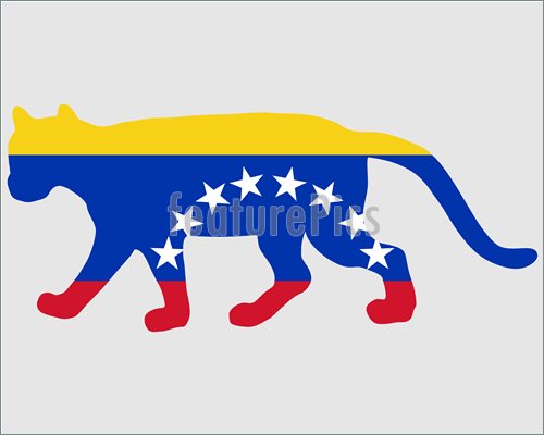 500x400 Illustration Of Cougar Venezuela