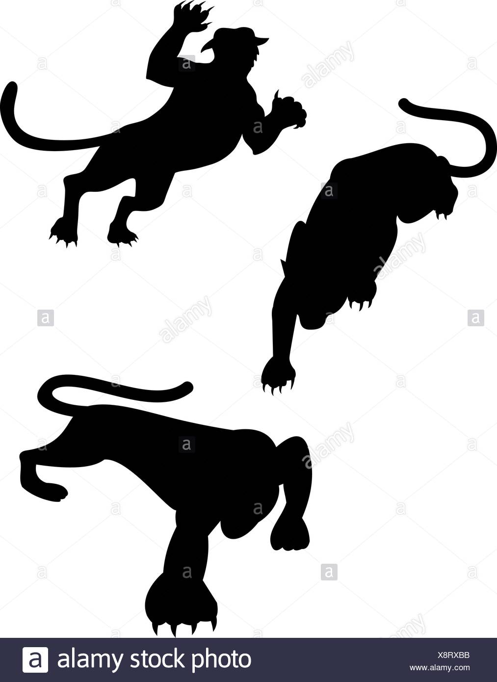 1013x1390 Cougar Cut Out Stock Images Amp Pictures