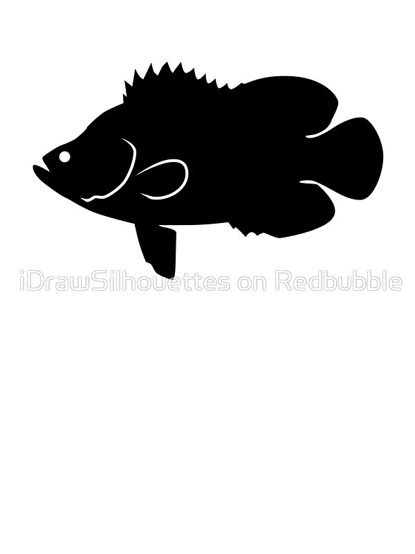 600x800 Tripletail Fish Silhouette (Black) Stickers By Idrawsilhouettes