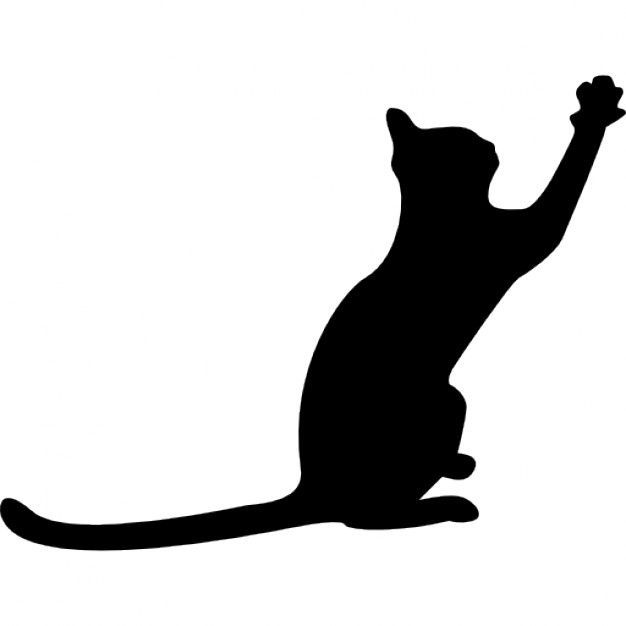 626x626 Cat Silhouette Vector