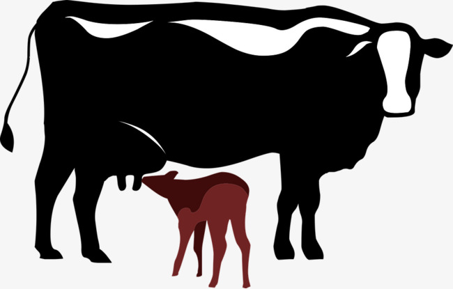 650x415 Small Animals Cows, Cattle, Calf, Symbol Png Image And Clipart