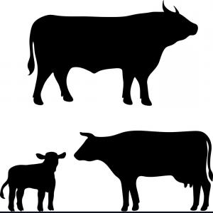 300x300 Trendy Free Clipart Of A Silhouetted Cow Head Lazttweet