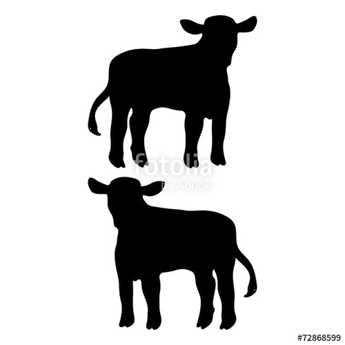 500x500 Calf Vector Stock Image And Royalty Free Vector Files On Fotolia