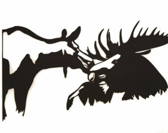 340x270 Bull Cow Moose Etsy
