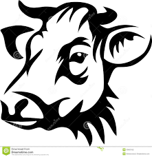 221x228 Resultado De Imagen De Cow Face Portada Disco