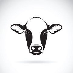 240x240 Search Photos Cow Logo
