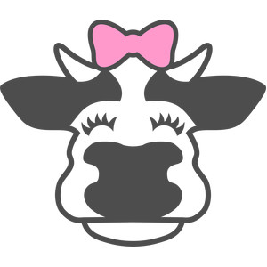 300x300 Silhouette Design Store