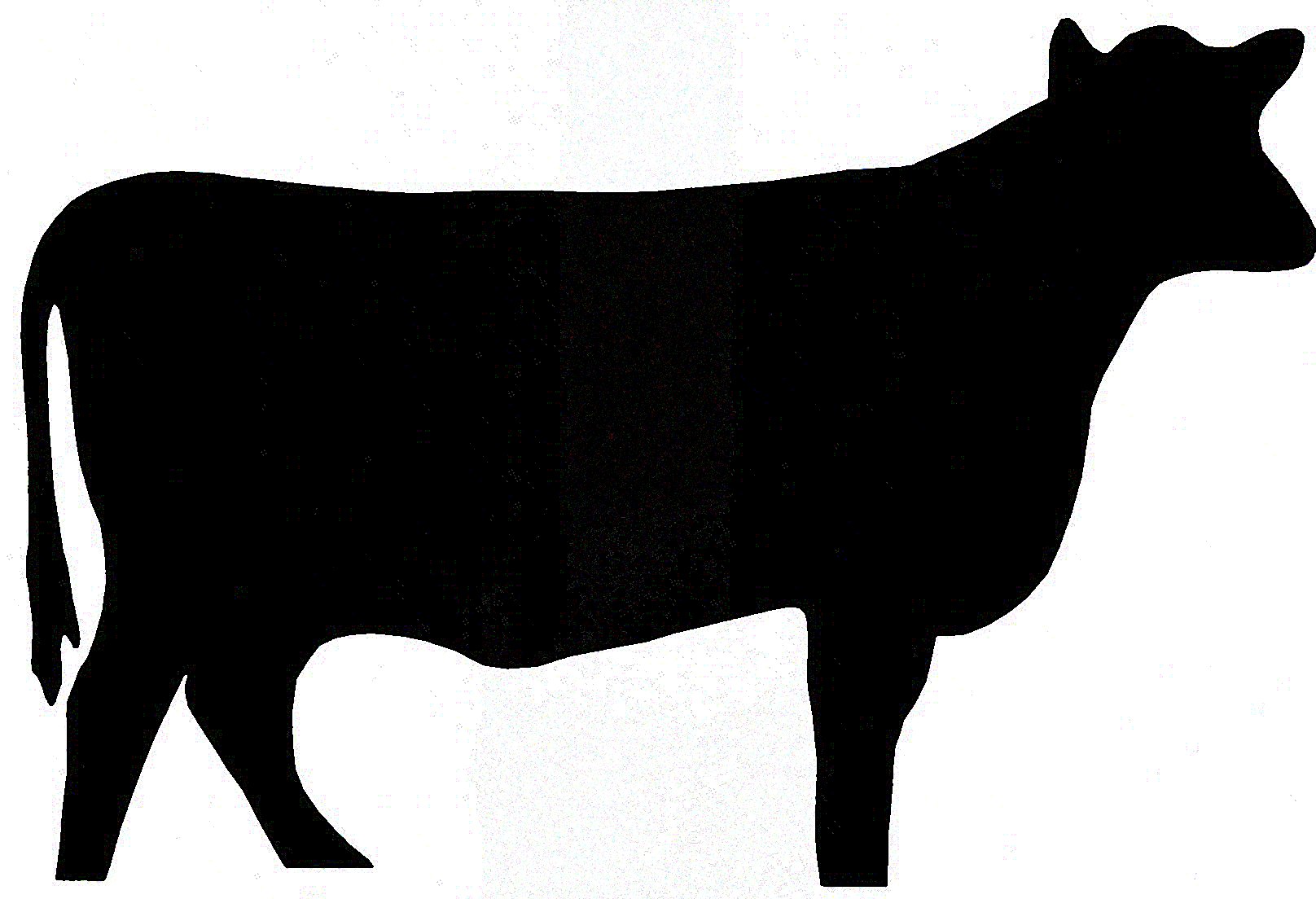 1616x1104 Cow Silhouette