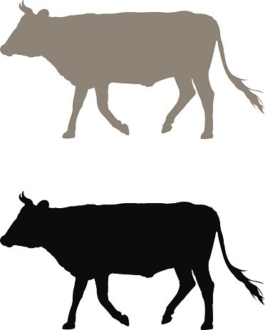 372x463 Cow Silhouette Premium Clipart