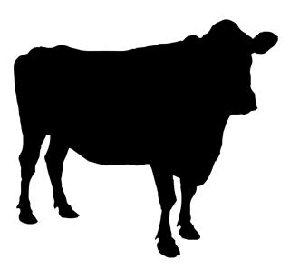 320x297 Cow Silhouette V7 Decal Sticker