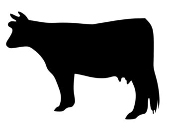 340x270 Cow Decal Etsy