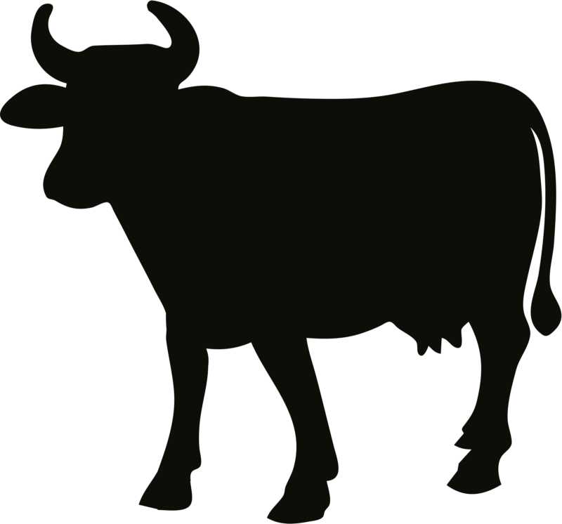 800x746 Free Cow Clipart Black And White Images