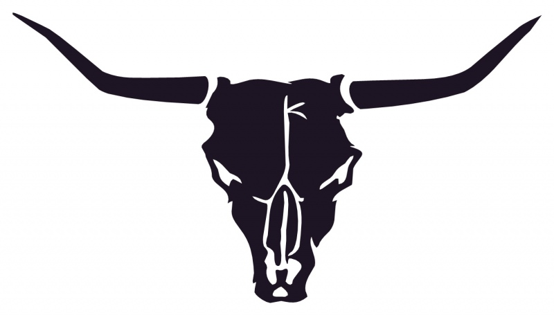 800x455 Longhorn Steer Clipart