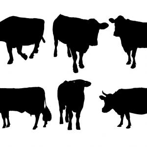 300x300 Trendy Free Clipart Of A Silhouetted Cow Head Lazttweet