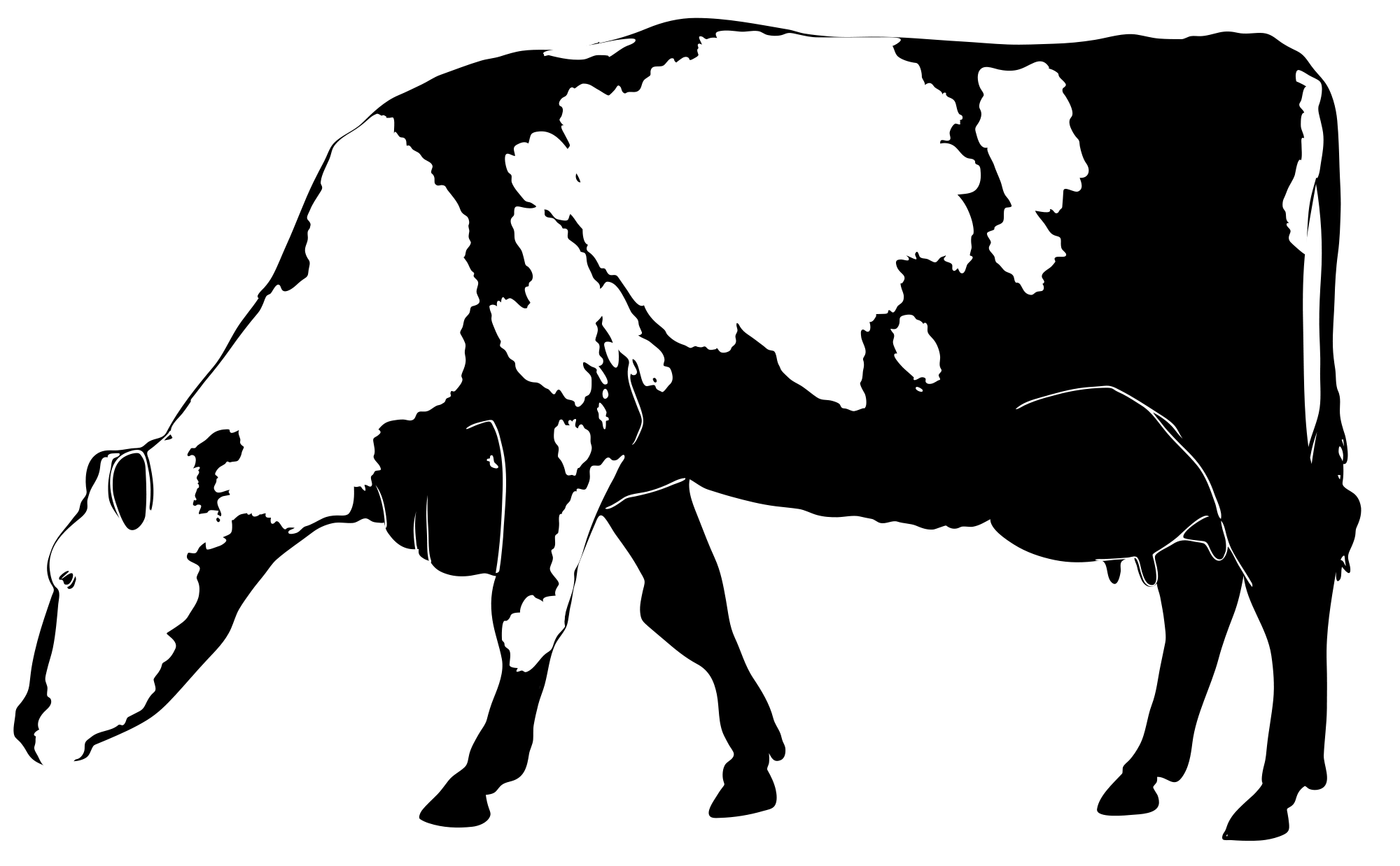 2000x1238 Filecow Silhouette 02.svg