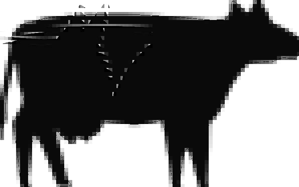 596x374 Cow, Intimidate, Outline, Animal, Physical, Silhouette, Domestic
