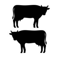 190x190 Cow Outline Premium Clipart