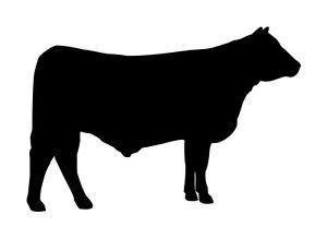 300x218 Black Angus Bull Silhouette Clipart