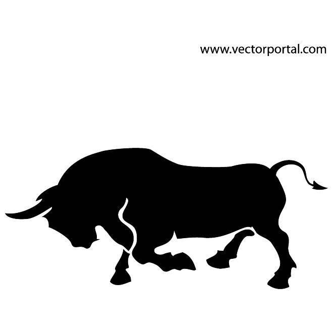 660x660 Longhorn Cattle Clipart Vector