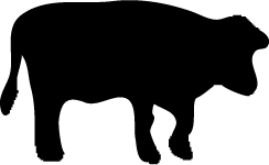 244x150 Cow Silhouettes Silhouettes Of Cow Free