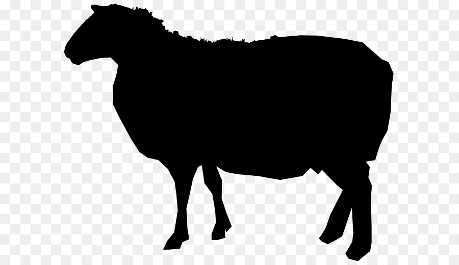 900x520 Sheep Cattle Silhouette Royalty Free