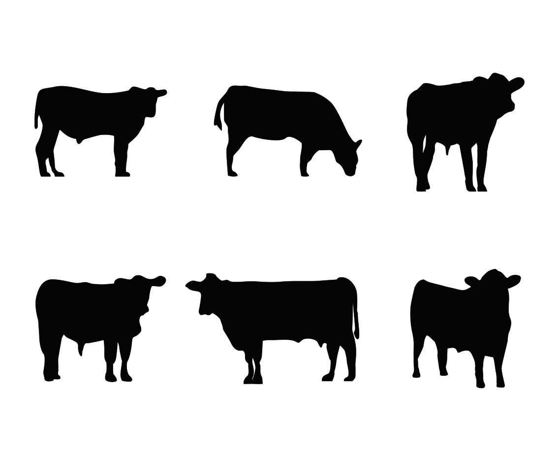 1136x936 Cattle Silhouette Vector Vector Art Amp Graphics