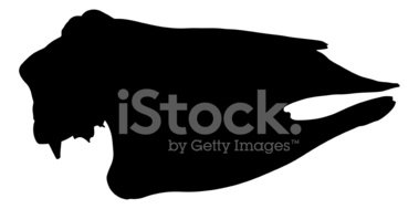 379x189 Cow Skull Silhouette Stock Vectors