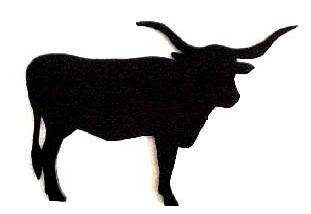311x214 Longhorn Cattle Clipart