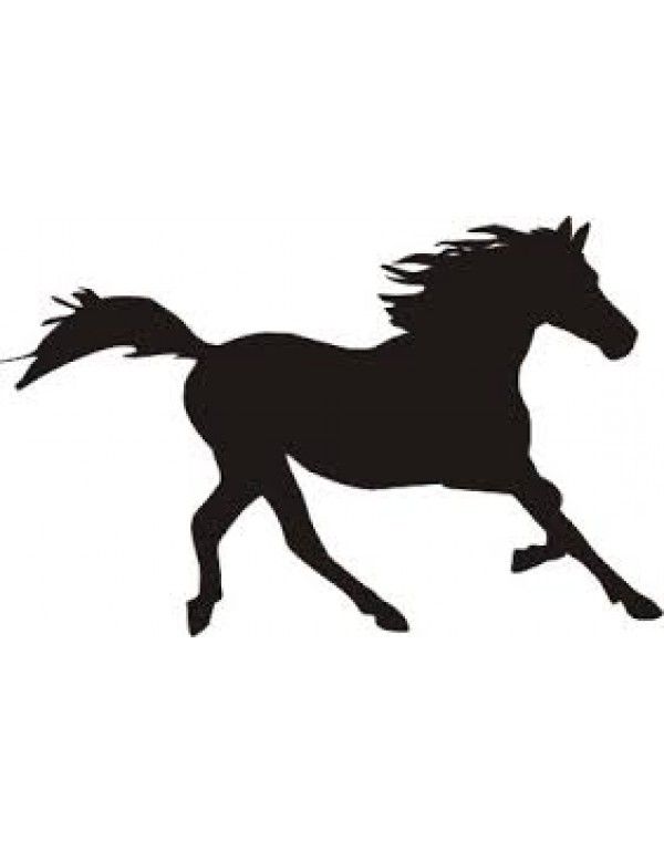 600x770 Connemara Crunch, 50 Lb Bag Connemara, Organic And Horse