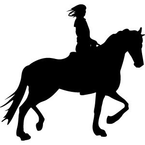 300x300 Passion Stickers