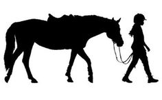 236x146 Western Horse And Rider Wall Decal