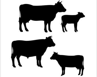 340x270 Cow And Calf Silhouette Clipart Collection