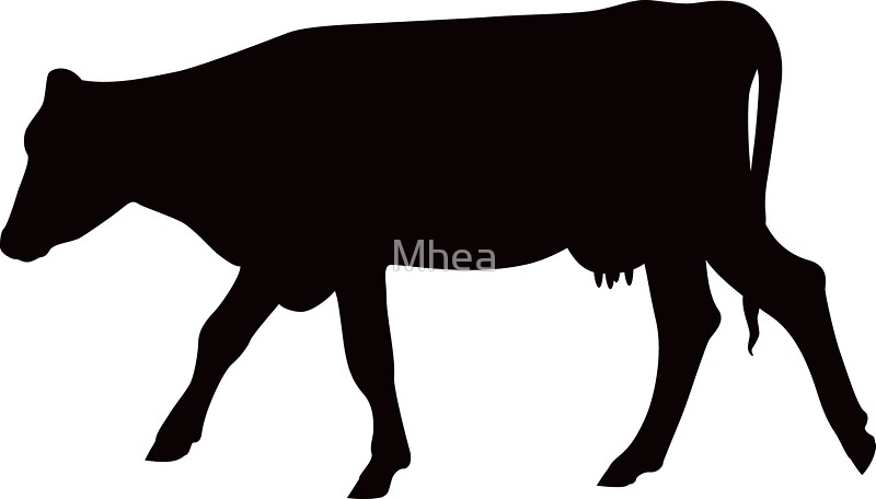 800x456 Cow Silhouette