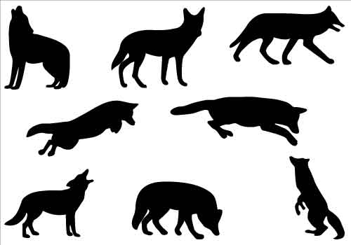 500x350 Coyote Silhouette Clipart