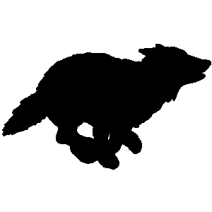 300x300 Coyote Clip Art