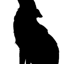 258x258 Coyote Industries