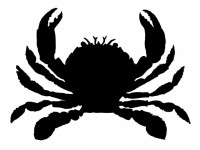 200x150 Crab Black Silhouette Free Stock Photo