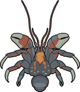 160x185 Search Results For Crab
