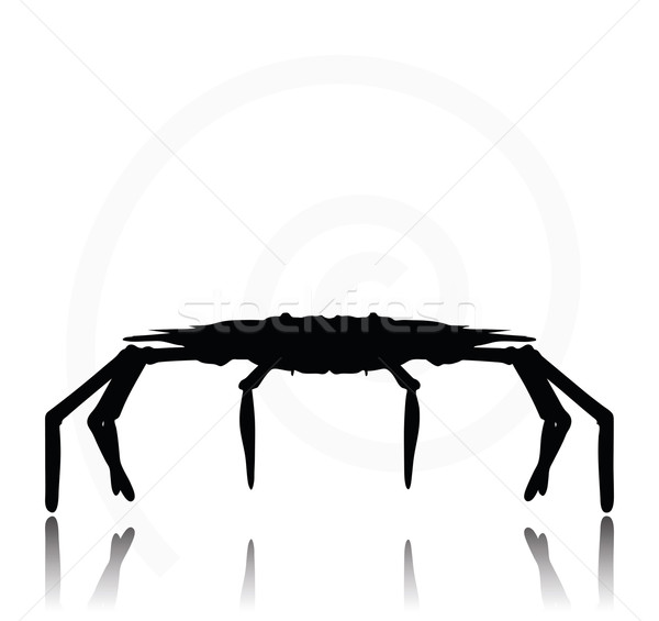 600x565 Crab Silhouette Vector Illustration Benguhan Ipekoz