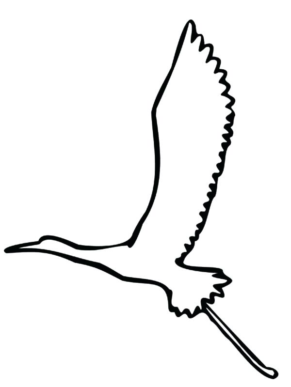 600x799 Bird Outline Graphic Bird Flying Outline Collection Bird Flying