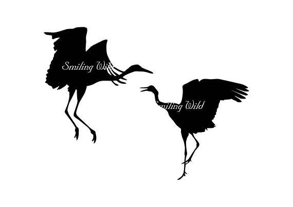 570x403 Crane Bird Svg Clipart Crane Silhouette Digital Bird Printable
