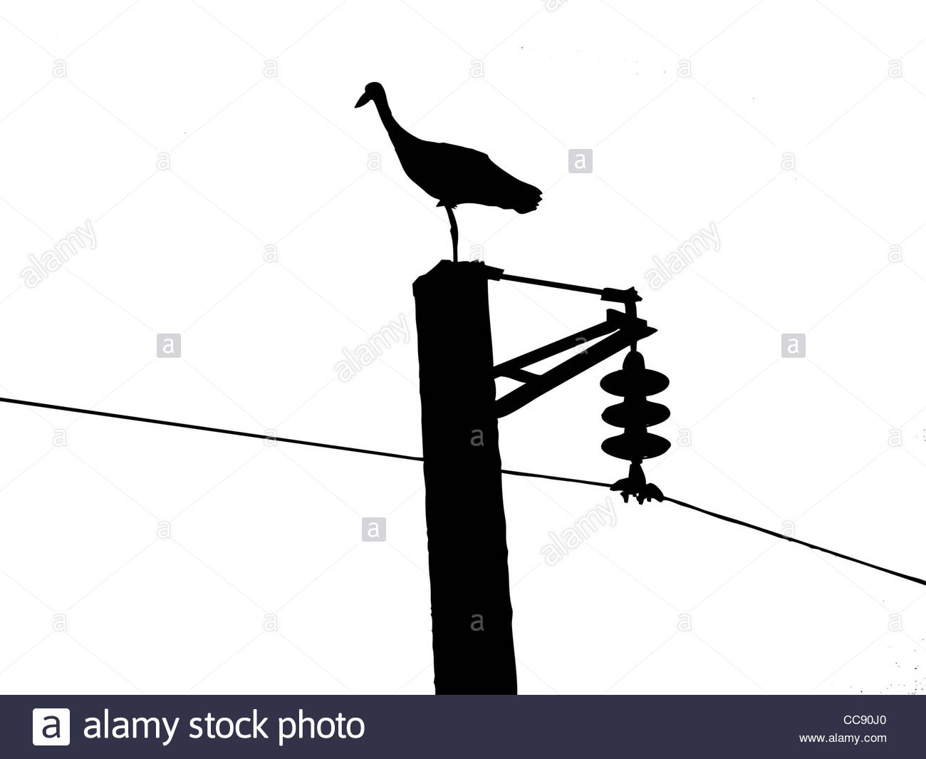 1300x1065 Crane Bird Black And White Stock Photos Amp Images